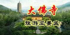 淫淫插插美国中国浙江-新昌大佛寺旅游风景区